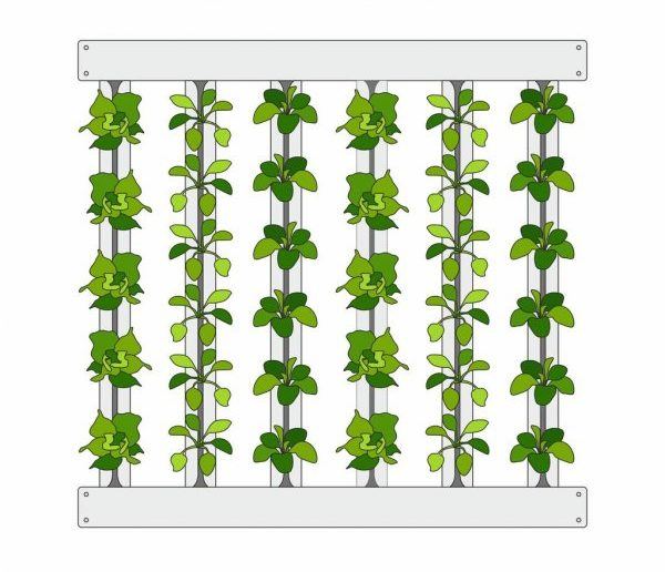 Growing methods in Aquaponics